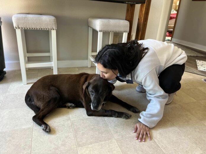 Fairytale ending for Fiona: Senior dog finds forever home after 11 years