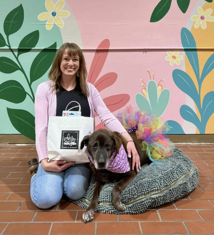 Sweet senior dog Fiona seeks forever home after 11 Years in Shelter