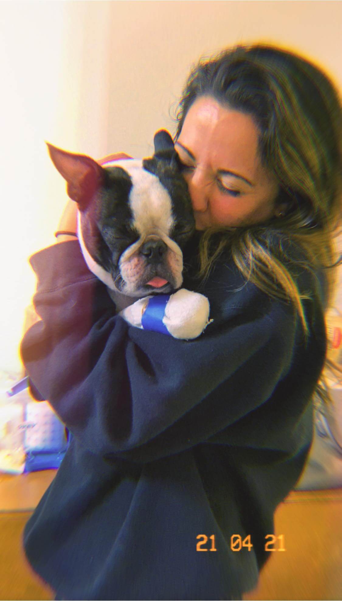 Never give up hope: Dog missing since July 4 reunited with his family