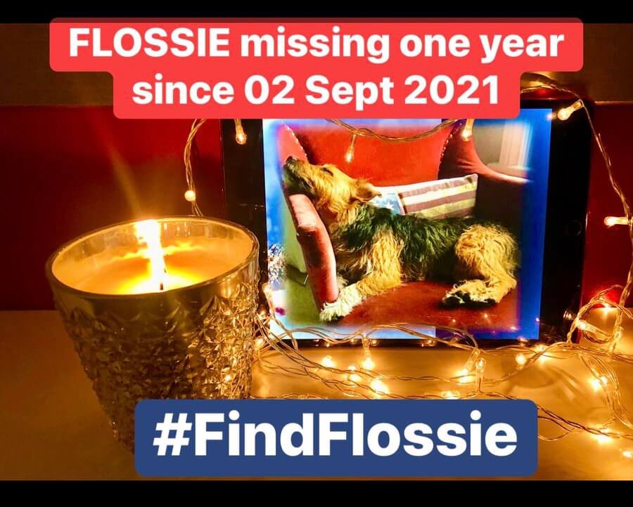 flossie-lost-3