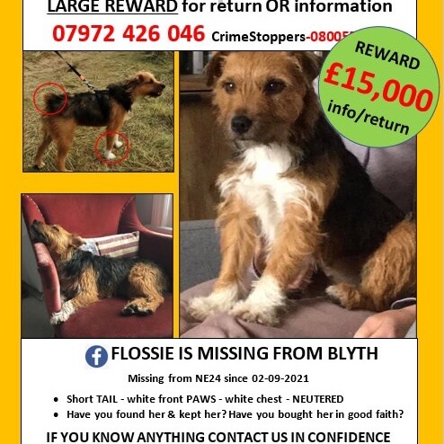flossie-lost