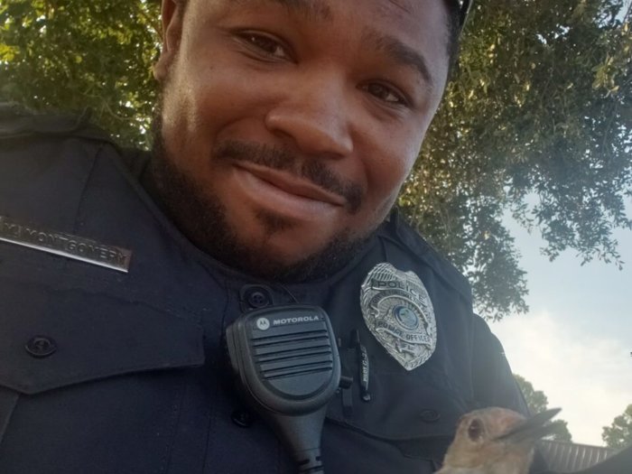 Florida cop’s surprise when woodpecker needs helping hand
