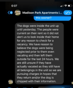 fort-worth-starved-dog-4-249x300-1