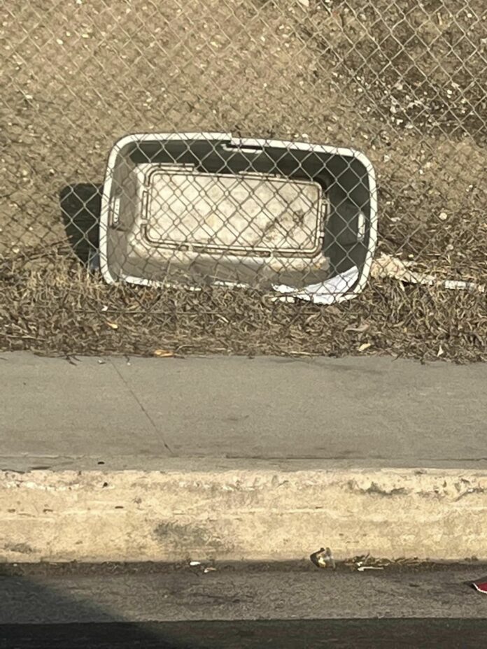 Heartless owner dumped three tiny seniors off freeway ramp in metal container