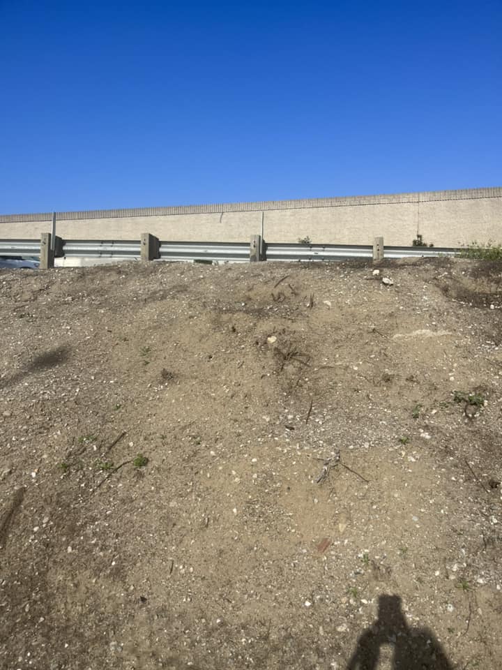 freeway-ramp-pups-2