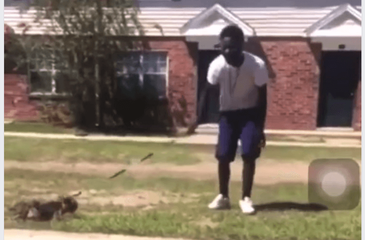 FBI joins animal welfare org to find person swinging puppy by neck