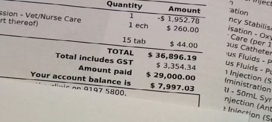 french-bulldog-expense