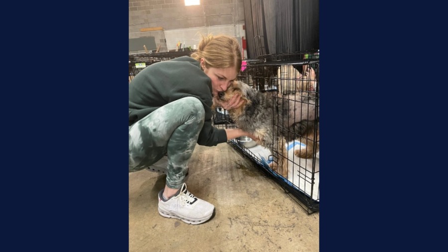 friend-of-jack-rescue