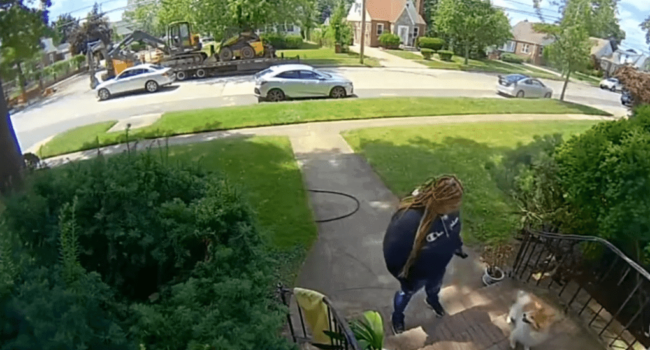 Woman steals dog from Valley Stream home’s front porch