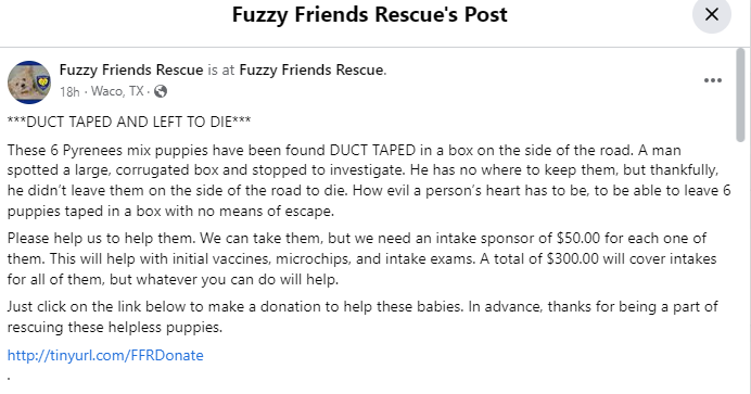 fuzzy-friends-rescue-1