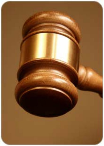 Puppy mill owner sentenced to jail for abuse of nearly 300 animals