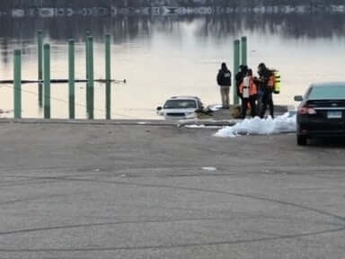 Dog trapped in submerged vehicle in river emerged 20 minutes late alive