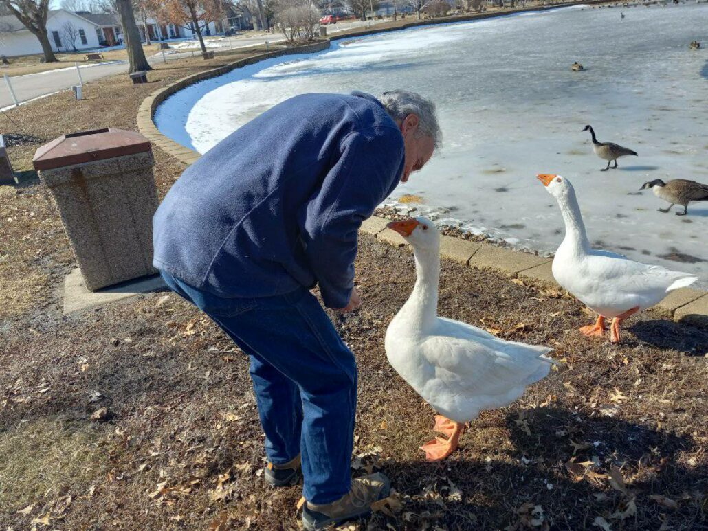 goose-blossom-and-frankie-2-1030x773-1