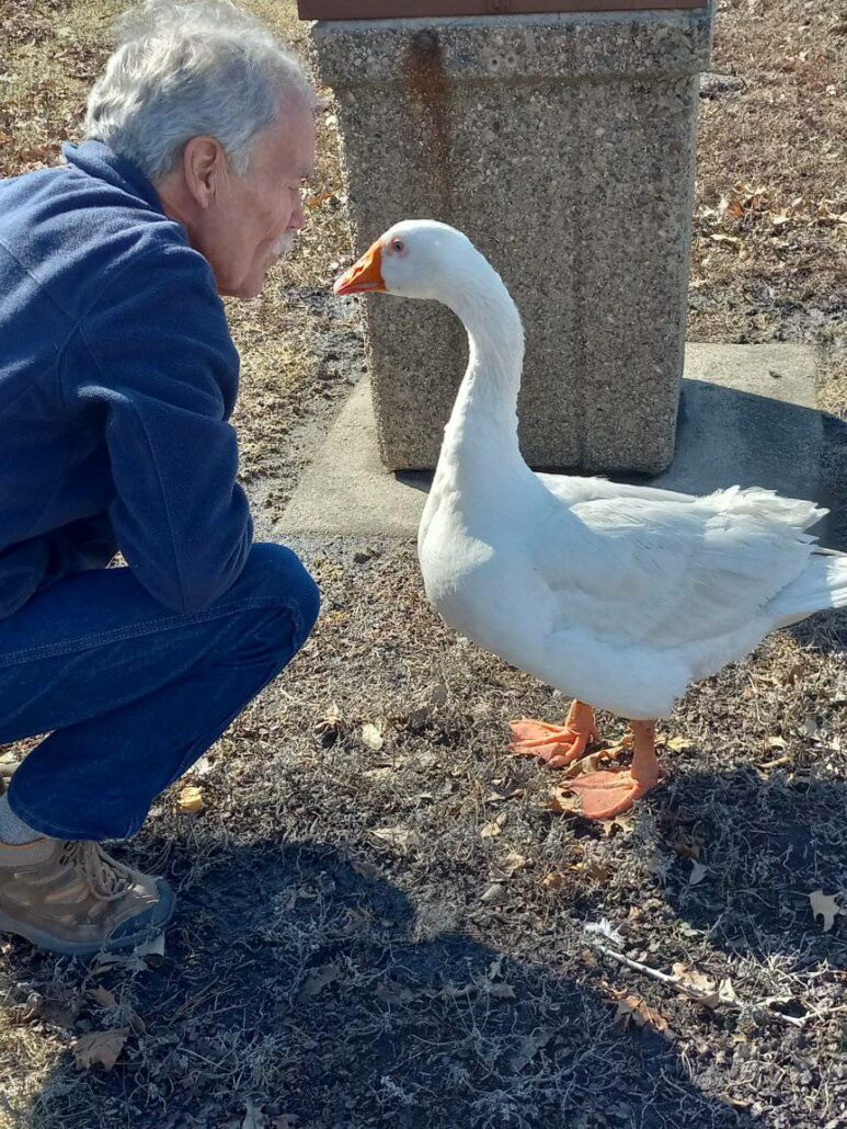 goose-blossom-and-frankie-3-773x1030-1