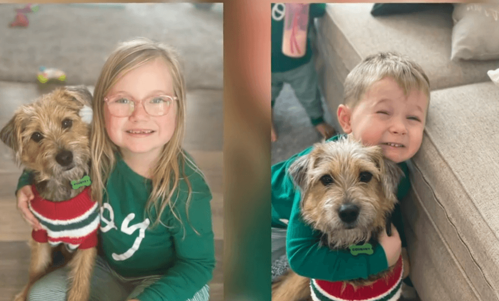 Grandfather drives cross country to deliver loveable stray pup to family for Christmas