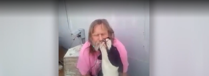 Great Dane from Albuquerque animal shelter saved his owner’s life within 24 hours of his adoption