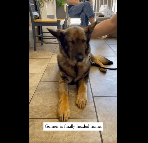gunner-heading-home
