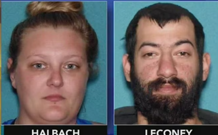 halbach and Leconey