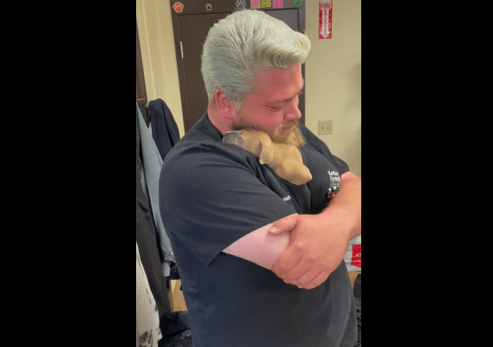 Seriously ill puppy receiving life saving care and lots of love from dedicated rescuers