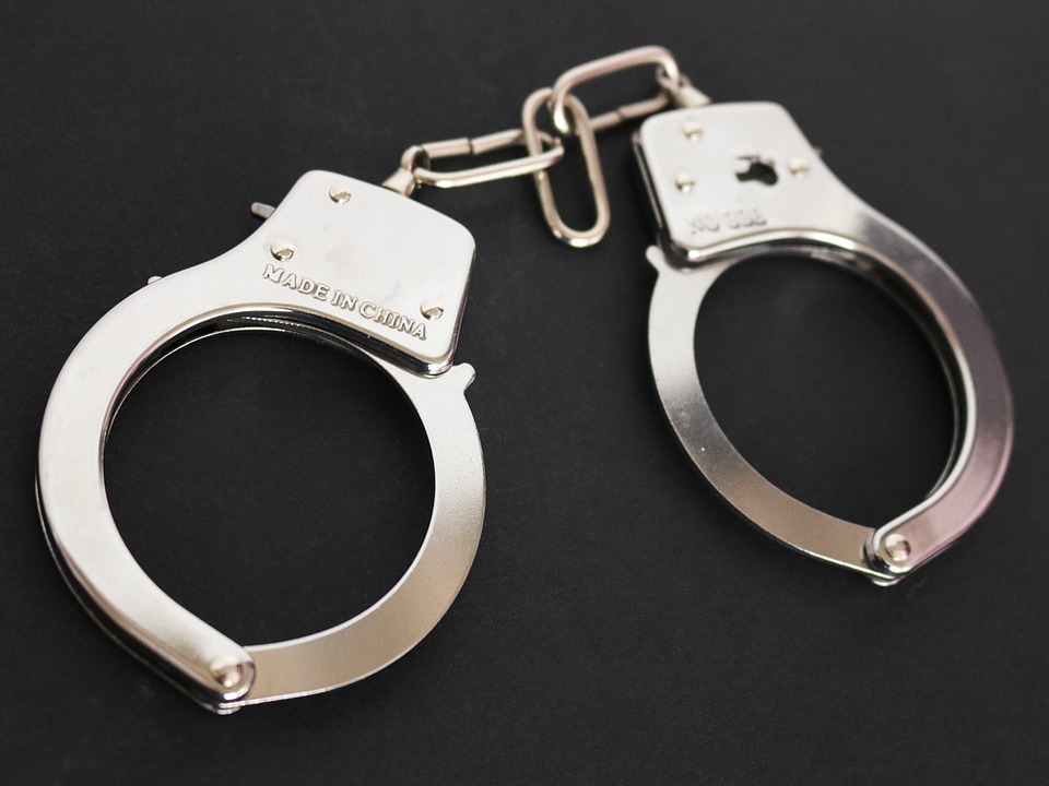 handcuffs-354042_960_720 Teen accused of inflicting fatal injuries on young puppy