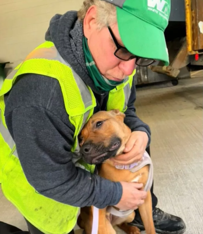 Tail wags and garbage bags: Heartwarming friendship between a dog and her garbage man