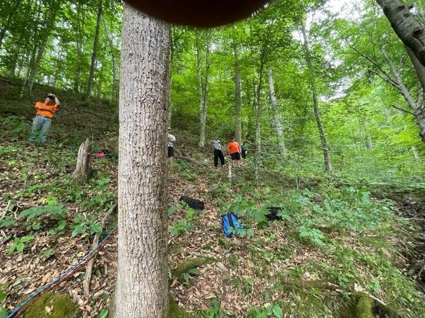 Pooch named ‘Killer’ rescued out of 30-foot sinkhole