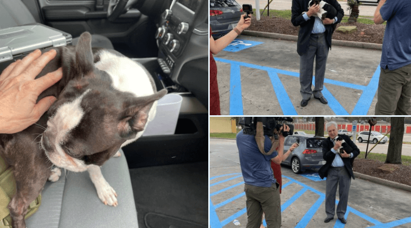 Dognapped pooch reunited with his owner after having been stolen on Christmas Day while at gas station