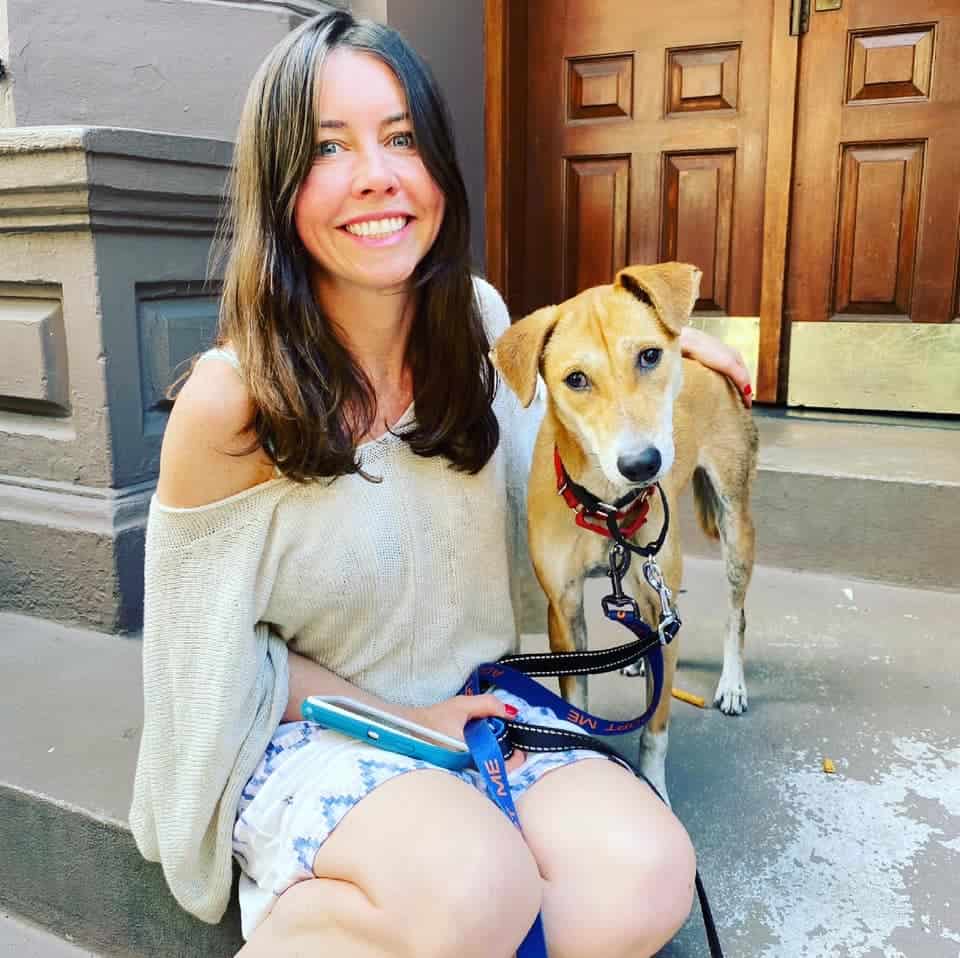 Rescued dog Indie survives harrowing odyssey through busy Queens Midtown Tunnel