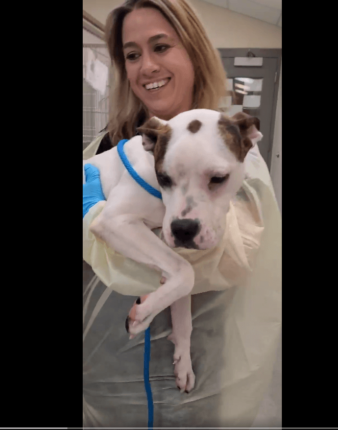 Loveable pup’s life will not come to a tragic end if a rescue group steps up to help