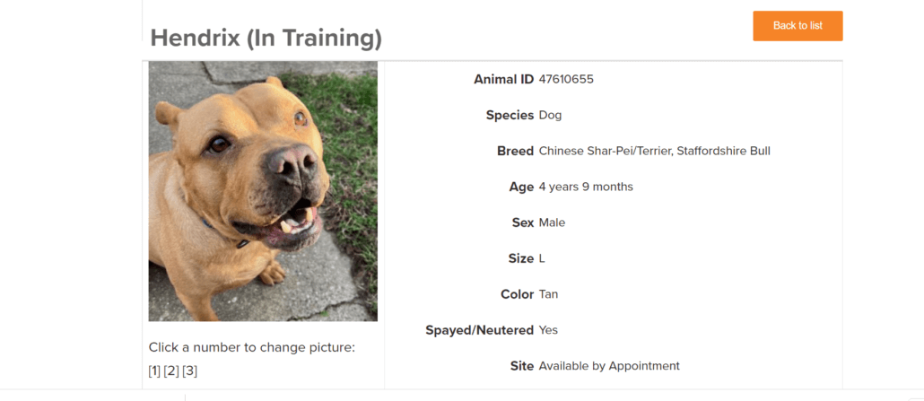 hendrix-not-adopted-1-1030x447-1