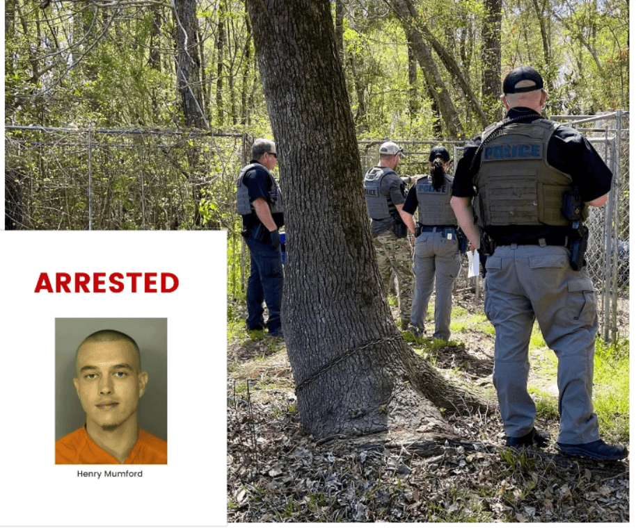 Four neglected dogs rescued from property where dead dogs were found; man arrested