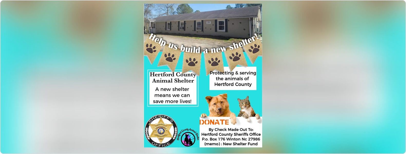 Hertford County animal shelter slated to close and help needed to find homes for the cats and dogs NOW