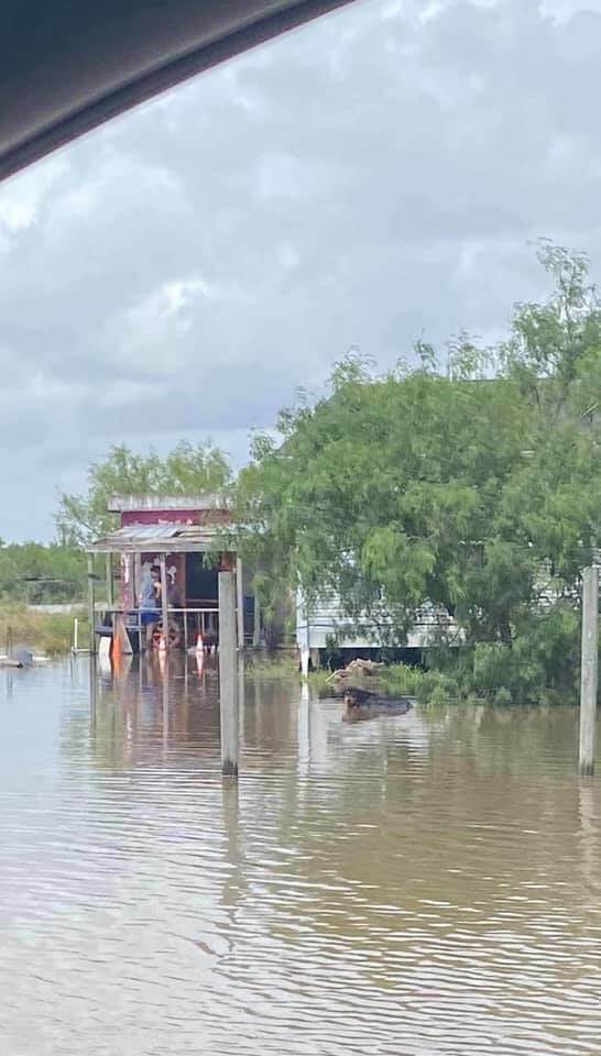 Dog advocates call out to rescue drowning dog from Texas hurricane