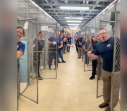 Florida shelter mega adoption event celebrates ‘completely empty kennel’