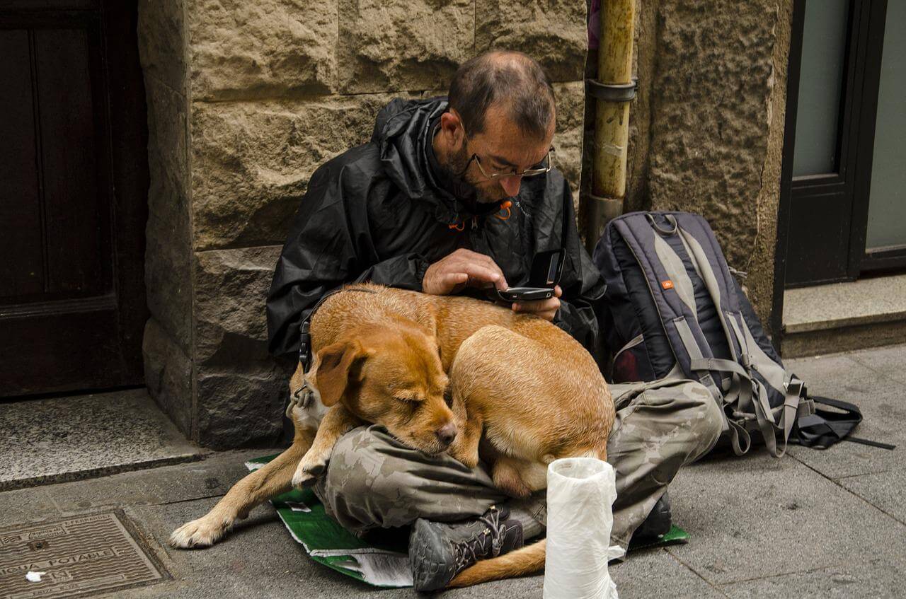 Homeless man and dog pixabay