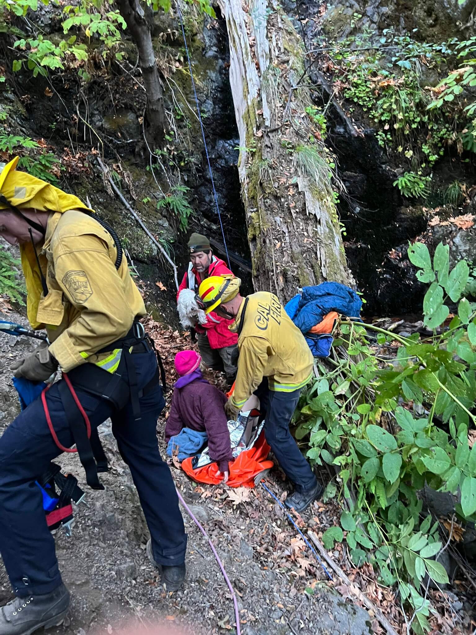 Missing woman and her dog rescued from steep ditch after scary night
