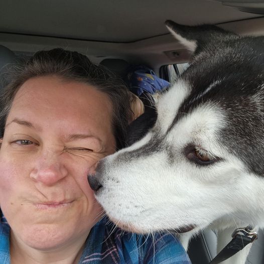 husky-ugly-3