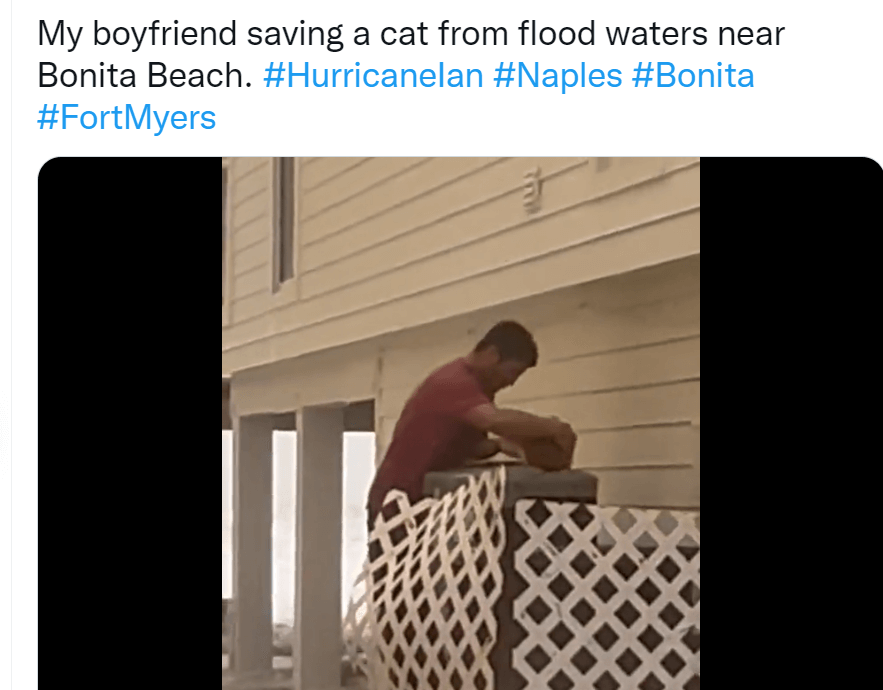 ian-dog-saved-3