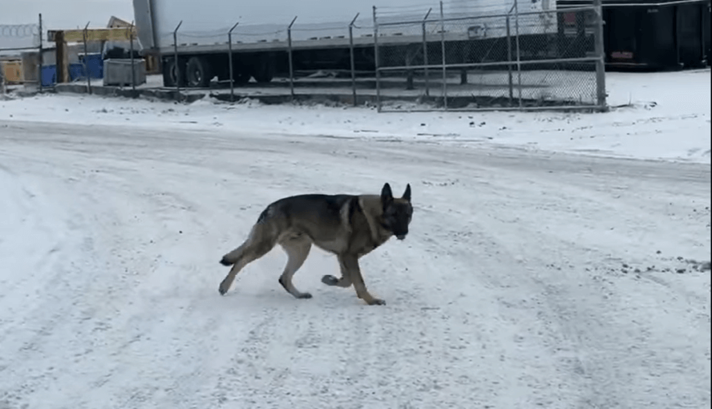 iceberg-cover-1030x592-1