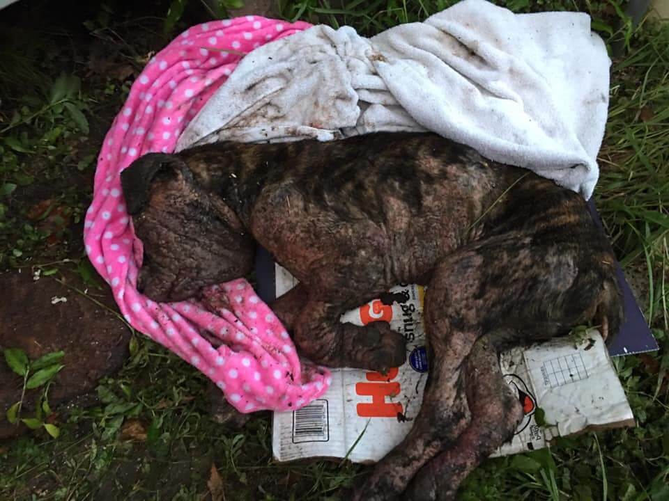 Ignored to the brink of death