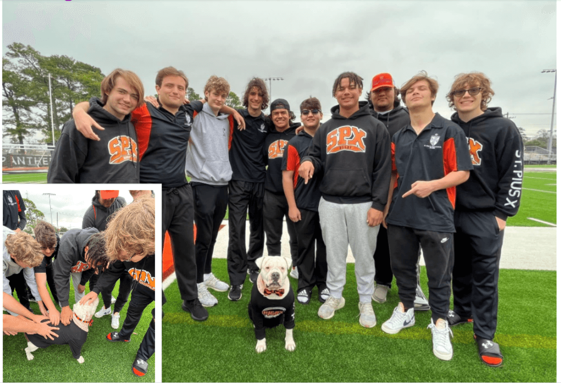High school kids rescue stray dog and make him their rugby team’s mascot
