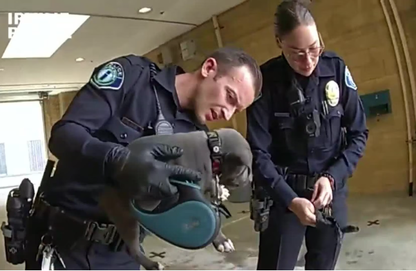 Police officers administer life-saving Narcan to puppy to save him from fentanyl overdose