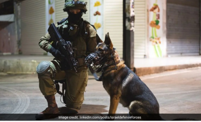 Israeli hero K9 officers rescued more than 200 innocent people during Hamas terror attack
