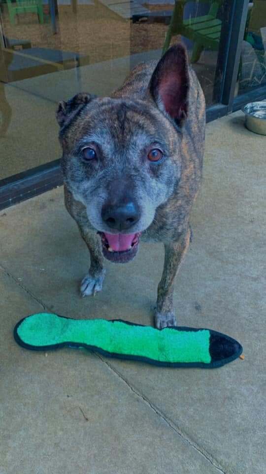 jacob-adopt1