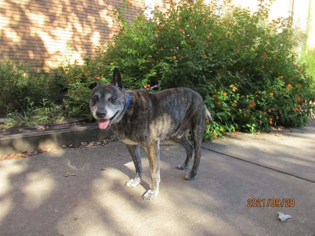 jacob-adopt2