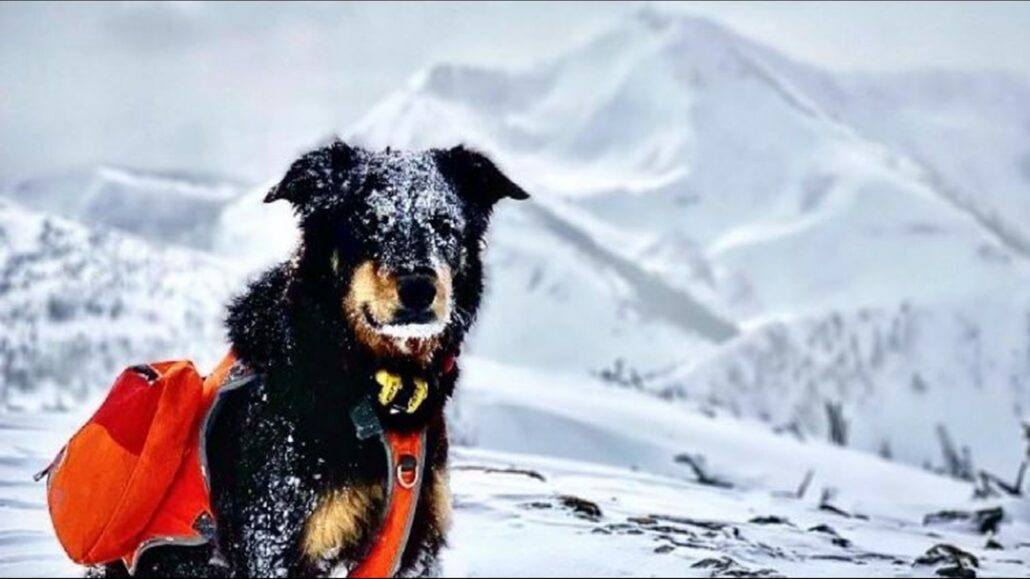 jacob-dalbey-1030x579-1