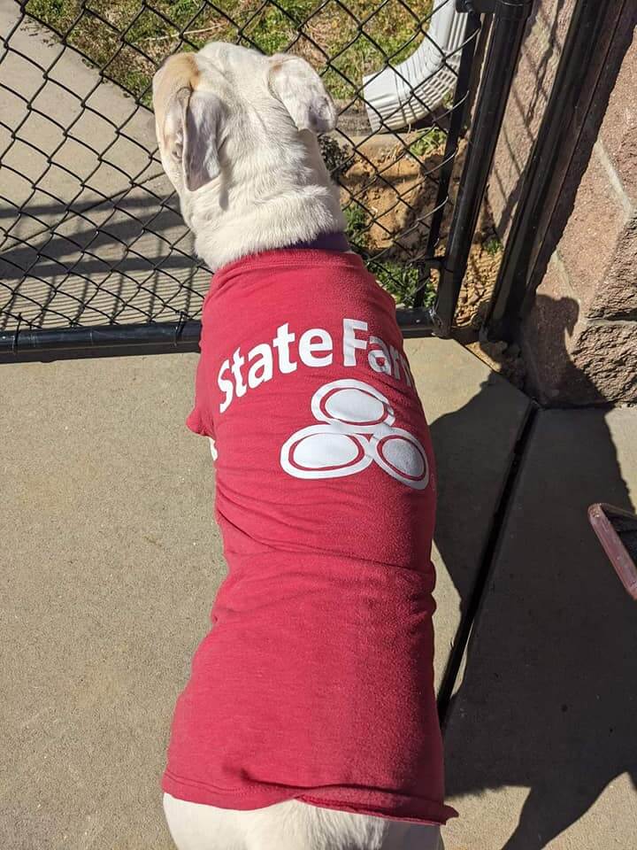 jake-from-state-farm-2