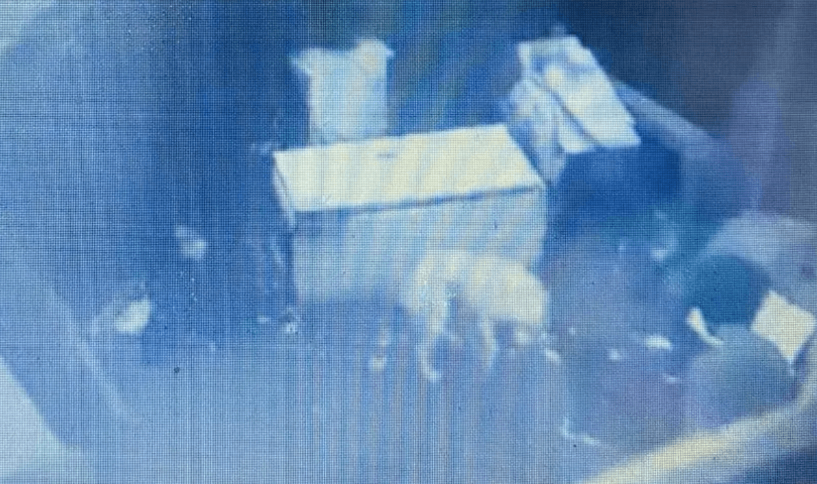 Man sent to prison after video of him beating his yellow Lab with a mallet turned into authorities