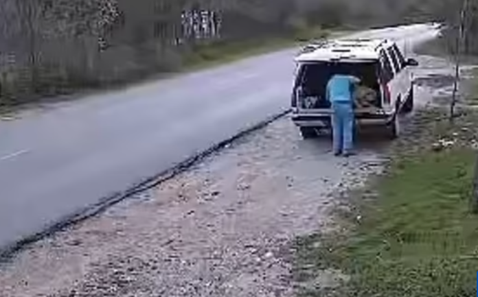 Dallas police want man seen dumping German shepherd on side of road as panicky dog ran after owner’s car