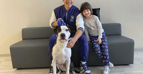 Grubhub driver meets love pup: Delivery driver adopts ‘furever’ friend